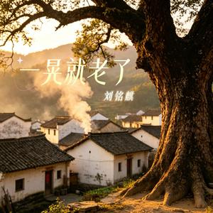 一晃就老了