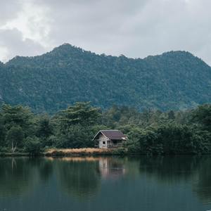 Peaceful Thinking