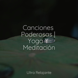 Tiempo Calmado En La Cafetería