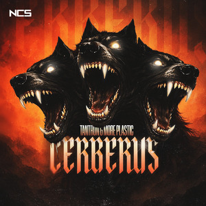 CERBERUS