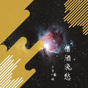 痴情的人总被伤