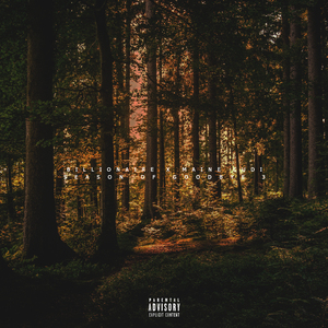 WYKION (Feat. KushForLunch)