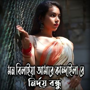 মন বিলাইয়া আমারে কান্দাইলা রে নির্দয় বন্ধু (Lofi Version)