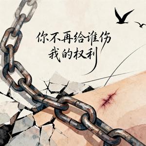 你不再给谁伤我的权利
