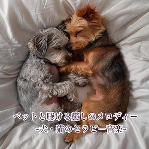 ペットの不安を取り除く安らぎのミュージック