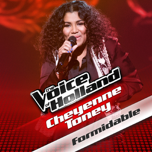 Formidable (from The voice of Holland)