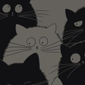 这一生关于你的风景