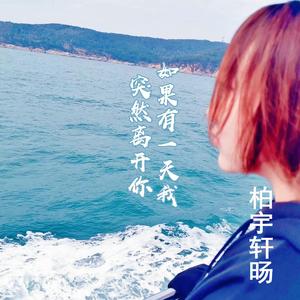 如果有一天我突然离开你 伴奏