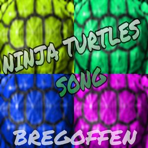 Teenage Mutant Ninja Turtles Theme Song