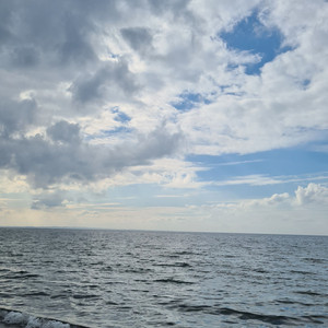 Emotions of the Earth