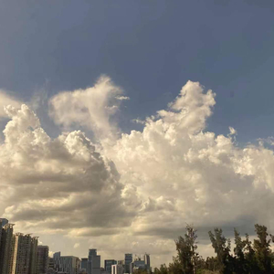 晚风入山河.（翻自 付梦洋）