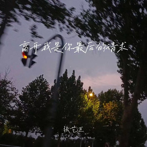 离开我是你最后的请求