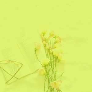 柔和的大学时刻