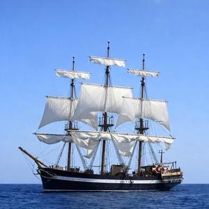 zilte wind