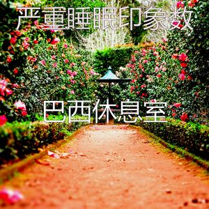 放松的居家办公回想