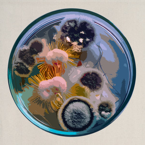 Gökleri Keşfetmiş