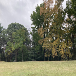 名もない恋の物語 (feat. 葛西俊光 & 葛西俊光)