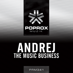 The Music Buisness (Original Mix)