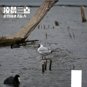 凌晨三点