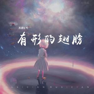 有形的翅膀.片段