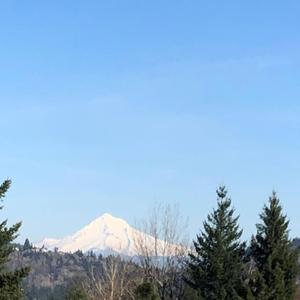 Gnar Wall (Single Version)