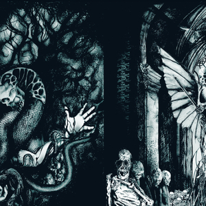 Vassafor - Son Of The Moon