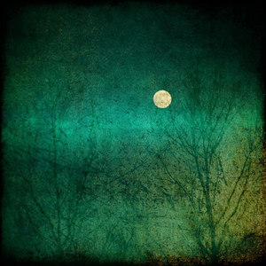 A Low Mist Over the Land