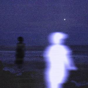 我的爱永不退潮