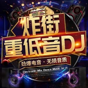 为你而活-神木与瞳越南鼓老歌DJ经典潮流音乐