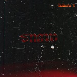 Rye/SNØW-SNØW（Kokain T Remix）