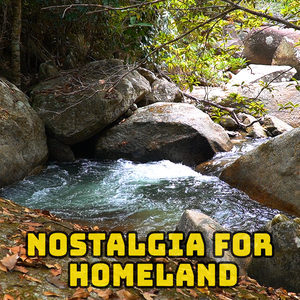 Nostalgia for Homeland 5