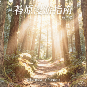 苔原漫游指南