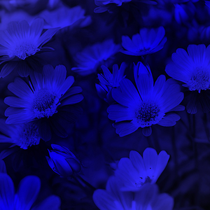 Dark Beach 2 Slowed (Remix)