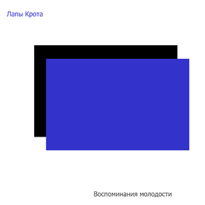 Воспоминания молодости