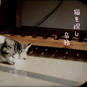 猫を探し