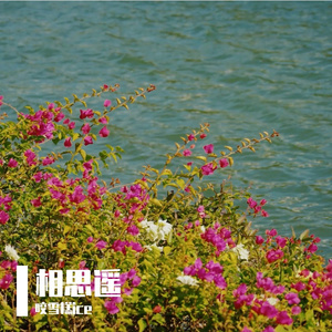 咬雪糕ice - 天地不拜