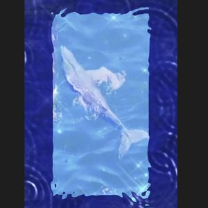 鲸（Whale)