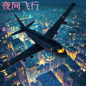 夜间飞行