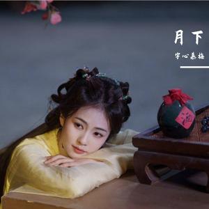 月下(《白月梵星》影视剧思念曲)
