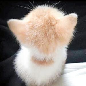 离-心动（痛酱 remix）