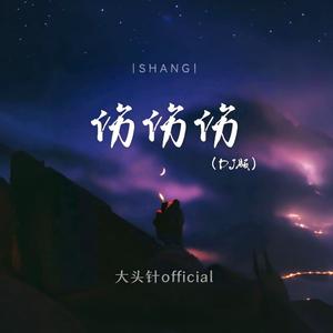 伤伤伤（DJ 版范小松版）