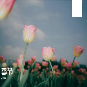 未说出口的告别