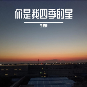 你是我四季的星
