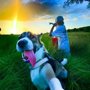 深夜路灯下未说出口之温柔