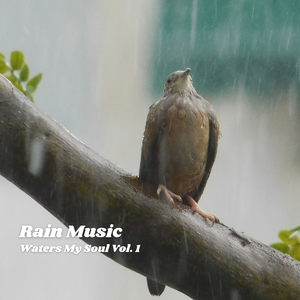 Rain Mighty Hum