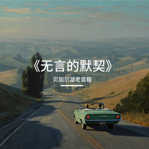 《无言的默契》