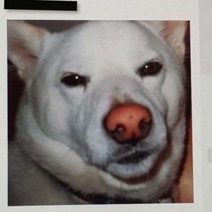 Take Your Hands Off Of Me (B-Side)