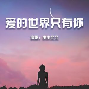爱的世界只有你