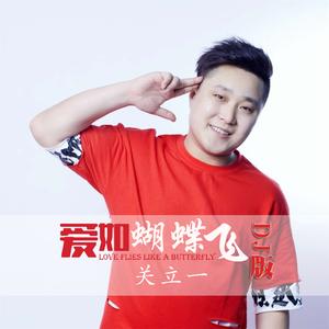 爱如蝴蝶飞 (DJ版)