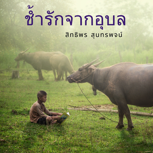 ช้ำรักจากอุบล
